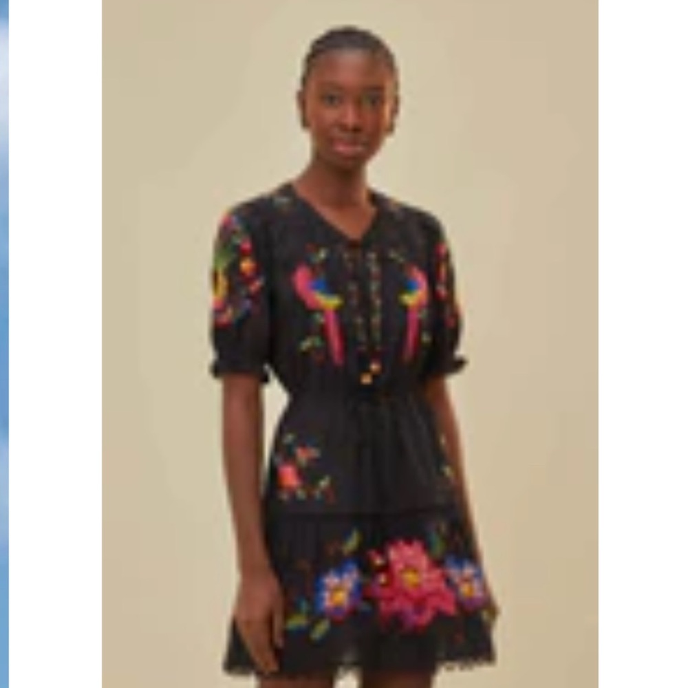 FARM Rio black embroidery Mini Dress